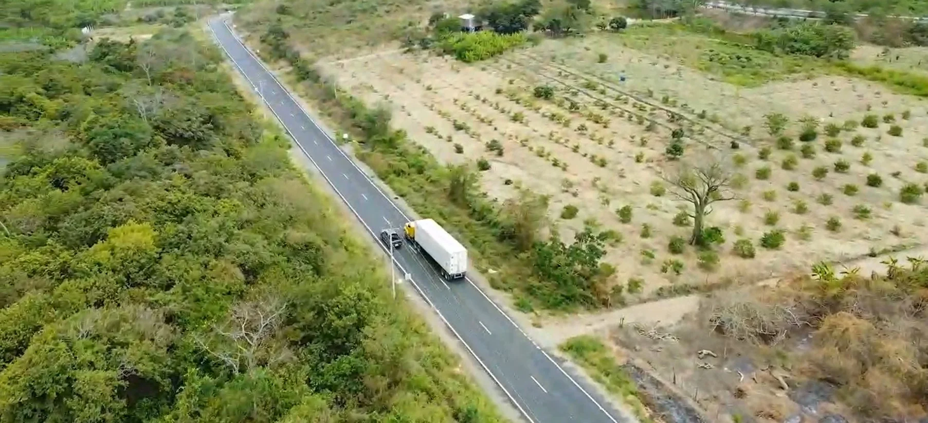 Transporte MC Fruits