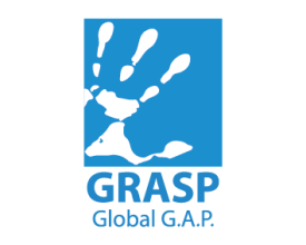 Grasp